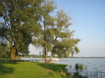 Fot. Iwona Ziba