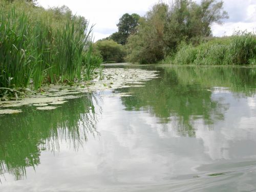 Fot: R. Rzepa