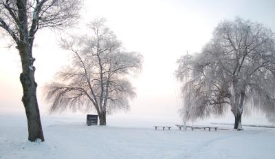 Fot. R. Rzepa